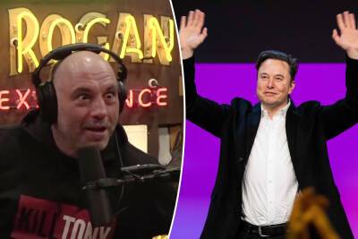 Joe Rogan hails Elon Musk as ‘a movie star type of superhero’ after Twitter takeover - nypost.com