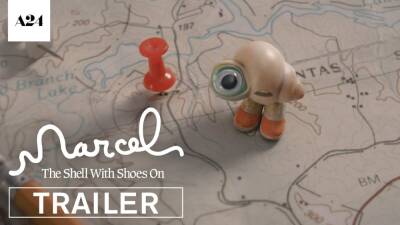 Jenny Slate Voices a Tiny Character on a Big Mission in Stop-Motion ‘Marcel the Shell’ Trailer (Video) - thewrap.com