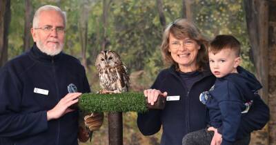 The Scottish Owl Centre is set to celebrate 10th anniversary in West Lothian - www.dailyrecord.co.uk - Britain - Scotland - Centre