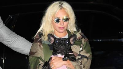 Suspect in Lady Gaga Dog Walker Shooting Released From Custody by Mistake - www.etonline.com - France