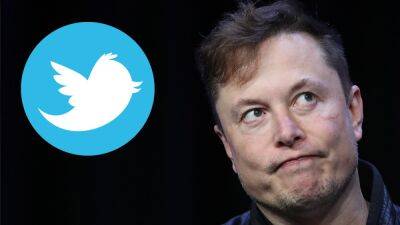 Elon Musk Says Twitter Deal ‘Temporarily on Hold,’ Stock Drops 20% - thewrap.com