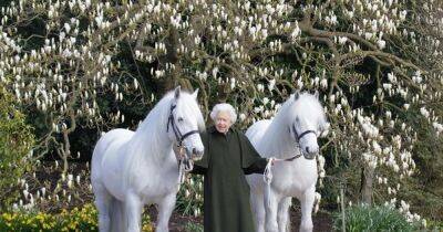 Queen mistaken for 'lost old dear' and refused entry to Windsor Horse Show - www.dailyrecord.co.uk