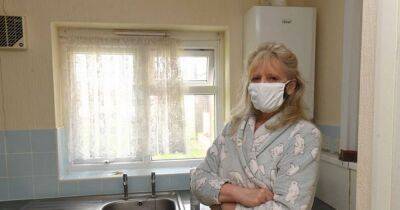 Gran 'hasn't had hot meal for seven weeks due to fly infestation in flat' - www.dailyrecord.co.uk - Birmingham