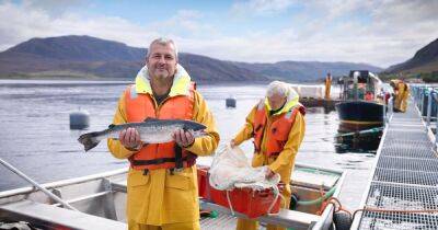 Scottish seafood exports at risk from planned Tory breach of Brexit trade deal - www.dailyrecord.co.uk - Britain - France - Scotland - Ireland - Eu - city Brussels