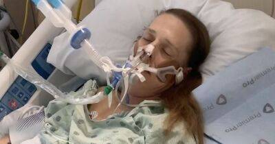 Woman ended up on life support after 'excited' dog headbutted her while playing - www.dailyrecord.co.uk - USA - Chicago