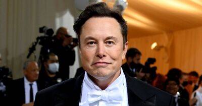 Elon Musk Responds to Accusation That He Exposed Himself to Flight Attendant, Calls It ‘Politically Motivated’ - www.usmagazine.com - South Africa