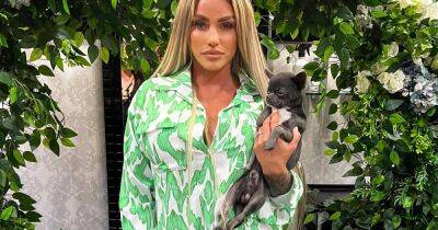Katie Price petition to ban star from owning dogs gets 20,000 signatures as she buys pup - www.ok.co.uk