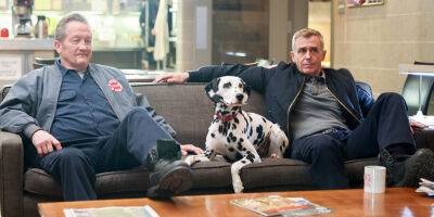 'Chicago Fire' Dalmatian Sadly Dies Ahead of Season 10 Finale - www.justjared.com - Chicago