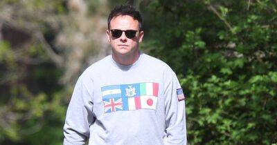 Ant McPartlin dons sunglasses as he takes his dogs for a walk in London - www.ok.co.uk - Britain - London - county Armstrong