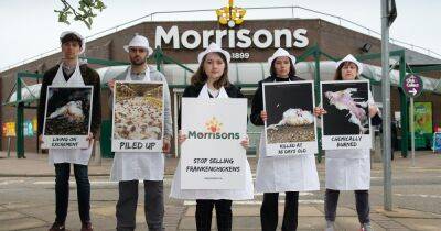 Animal welfare campaigners dressed in butcher outfits target Morrisons in Chorlton over 'Frankenchickens' - www.manchestereveningnews.co.uk - county Morrison