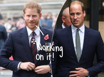 Prince Harry & Prince William Are ‘Back On Their Old Buddy Terms’ Ahead Of Queen’s Platinum Jubilee - perezhilton.com - Britain