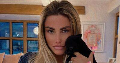 Katie Price gives close look at heavily tattooed arms as she cuddles puppy in new pic - www.ok.co.uk - Britain - Thailand