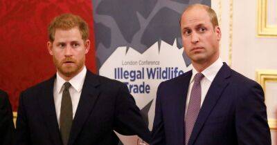 Prince William fears Harry will use Platinum Jubilee chats in Netflix shows, sources say - www.ok.co.uk - Britain