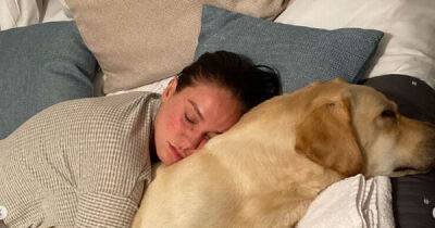 Vicky Pattison tearful as she shares the shocking moment her dog was stolen - www.msn.com