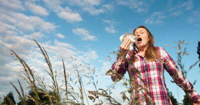 Hay fever sufferers warned of 'intense' pollen levels this summer by experts - www.dailyrecord.co.uk - Britain - Scotland
