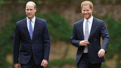 Prince Harry's interview about royal family still a 'very bitter pill to swallow' for Prince William: expert - www.foxnews.com - Texas - Netherlands