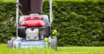 Man baffled as neighbour 'demands he pays her son to mow lawn for £12 a week' - www.dailyrecord.co.uk - USA - Beyond