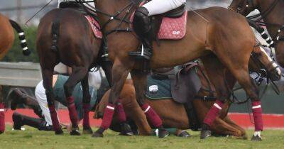 Prince Harry falls off his horse during polo match in California - www.ok.co.uk - Britain - USA - California - Santa Barbara