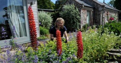 Lockerbie garden to open to the public for the first time - www.dailyrecord.co.uk - Scotland
