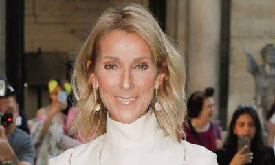 Celine Dion posts remarkably rare family photo and she looks so different - hellomagazine.com - Britain - France