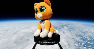 Stuffed cat toy was fired into space from the Peak District and landed in Spalding - www.manchestereveningnews.co.uk - Britain - city Sheffield - Beyond