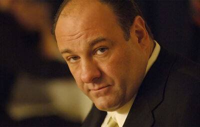 “One of a kind” James Gandolfini gave ‘Sopranos’ cast bonus out of his own salary - www.nme.com - county Van Zandt