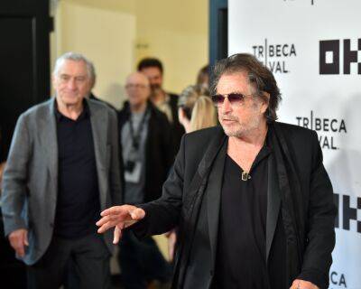 Al Pacino Would Like To See Timothée Chalamet Portray His ‘Heat’ Character In A Prequel Film - etcanada.com