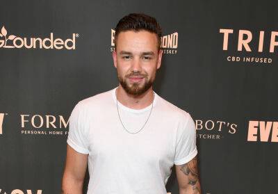 Liam Payne Apologizes For Harsh Comments About Zayn Malik: ‘I Didn’t Articulate Myself As Well As I Could Have’ - etcanada.com - Las Vegas