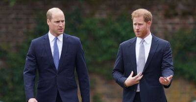 Prince Harry has 'crossed a line' and 'been sucked into alien world', says William's pal - www.ok.co.uk - Britain - USA - county Sussex - city Cambridge