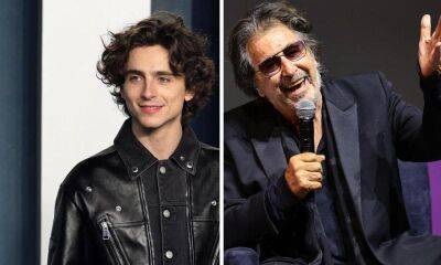 Al Pacino praises Timothée Chalamet and wants him to take over his role in ‘Heat’ sequel - us.hola.com