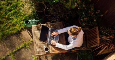 Shoe box laptop hack hailed as ‘genius’ so you can work outside during the heatwave - www.ok.co.uk - Britain