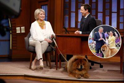 Martha Stewart ‘proud’ as chow chow related to her late pooch wins Westminster Dog Show - nypost.com - Britain - France - New York - Germany - Malta