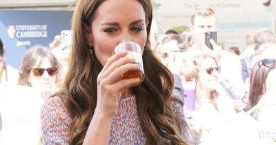 Kate Middleton kicks football in towering wedge heels and drinks beer in new pictures - www.ok.co.uk - Netherlands