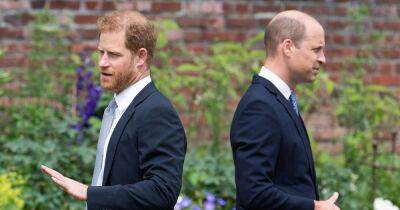 Estranged brothers Princes Harry and William were 'never good friends', says expert - www.ok.co.uk