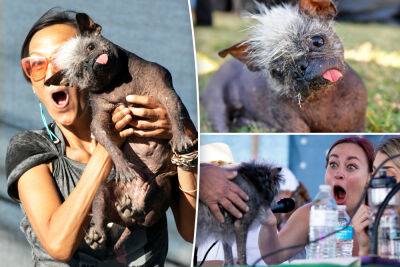 World’s Ugliest Dog of 2022 winner: Meet Mr. Happy Face, a 17-year-old stunner - nypost.com - New York - China - California - Arizona