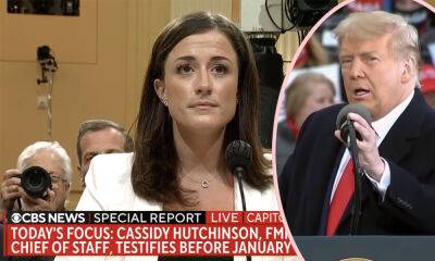 Donald Trump Allegedly Assaulted A Secret Service Agent & MORE Bombshells From Shocking January 6 Testimony! - perezhilton.com