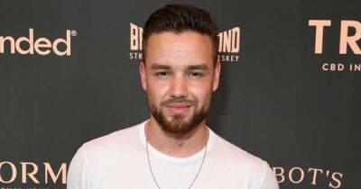 Liam Payne hits back after saying he 'dislikes' former One Direction bandmate Zayn Malik in candid interview - www.msn.com