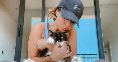 Pet Friendly! Katie Thurston Confirms Her Cat Tommy Will Continue to See Ex John Hersey’s Dog Dexter After Split - www.usmagazine.com - Mexico - Italy
