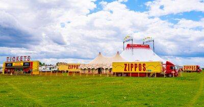 Popular Zippo's travelling circus coming to Falkirk later this month - www.dailyrecord.co.uk - Britain - Brazil - Scotland - Ireland - Cuba - Kenya - Argentina - city Havana - Czech Republic - city Santos - Mongolia
