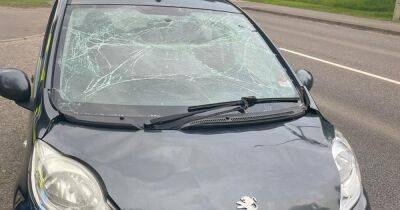 Police pull over driver after being caught on A96 with cracked windscreen - www.dailyrecord.co.uk - Scotland - county Highlands