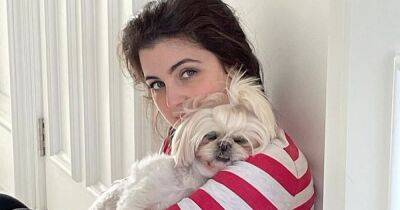 Storm Huntley shares adorable moment newborn son meets beloved pooch Boo - www.dailyrecord.co.uk