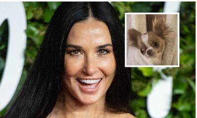 Is Demi Moore breaking the rules with her adorable dog in Paris? - us.hola.com - France - Paris
