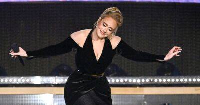 Adele praised for bringing concert to a halt to help struggling fan in the crowd - www.ok.co.uk - city London, county Park - county Hyde