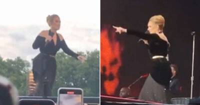 Adele stops Hyde Park gig to help distressed fan out of crowd - www.msn.com - Britain - county Hyde