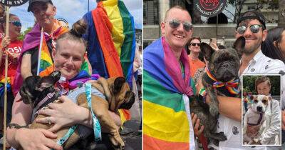 Very good dogs steal our hearts as they join the party at London Pride - www.msn.com - county Lane - county Bristol