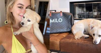 Kaia Gerber’s custom Celine dog bag is serious goals - www.msn.com - Los Angeles - county Butler