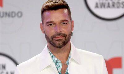 Judge dismisses lawsuit against Ricky Martin filed by his nephew - us.hola.com - USA