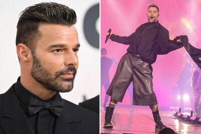 Ricky Martin says ‘nonsense’ incest sex crime claims were ‘so painful’ - nypost.com - Los Angeles - county San Juan - area Puerto Rico