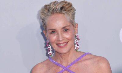 Sharon Stone poses in sheer dress as she shares personal home update - hellomagazine.com - Italy - Jordan - county Stone - county Leslie
