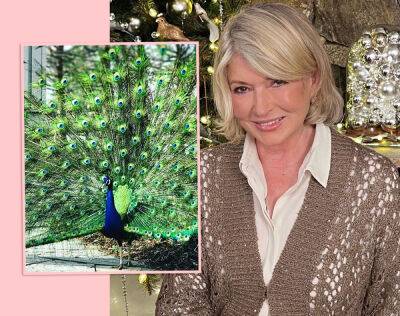 Martha Stewart Mourns Deaths Of Her 6 Peacocks After They Were ‘Devoured’ By Coyotes In Broad Daylight - perezhilton.com
